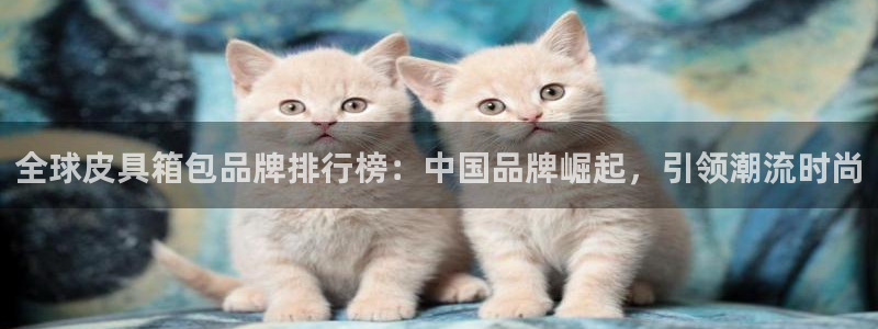 意昂体育3平台注册流程图