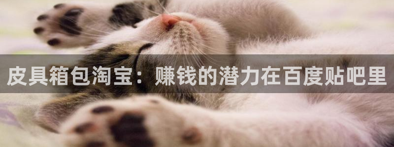 意昂体育3招商电话号码查询