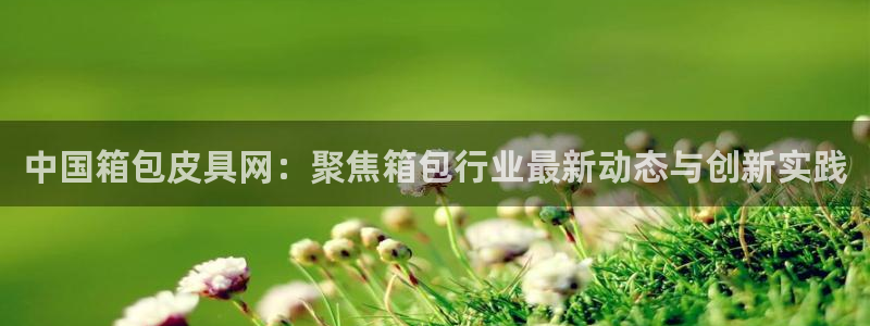 意昂3官方