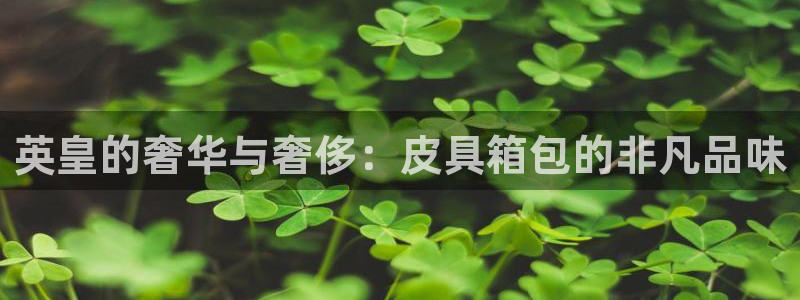 意昂3娱乐40996