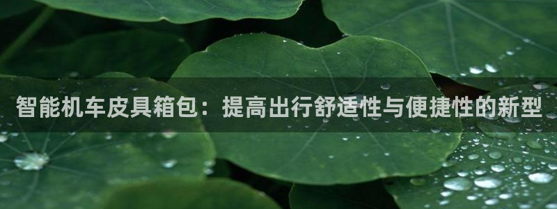 意昂体育3招商电话是多少