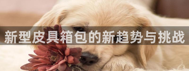 海南意昂体育3发展怎么样