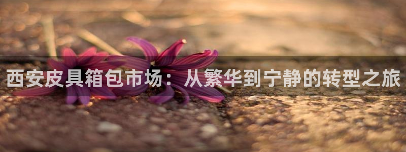 意昂体育3官方客服电话