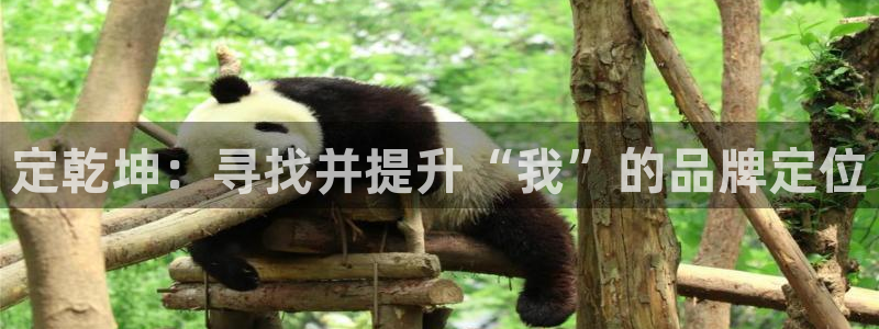 意昂体育3平台注册要钱吗安全吗