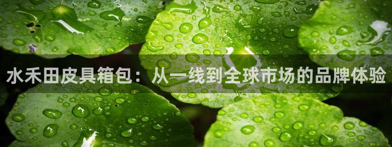 意昂体育3招商电话号码是多少