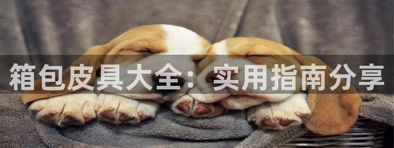 意昂平台体育