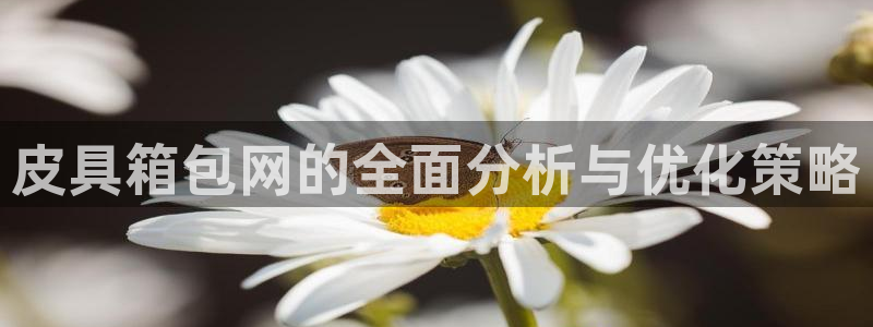 意昂体育3平台是正规平台吗
