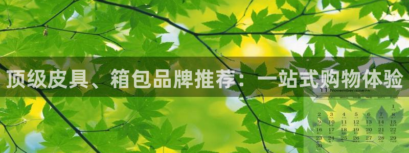 海南意昂体育3