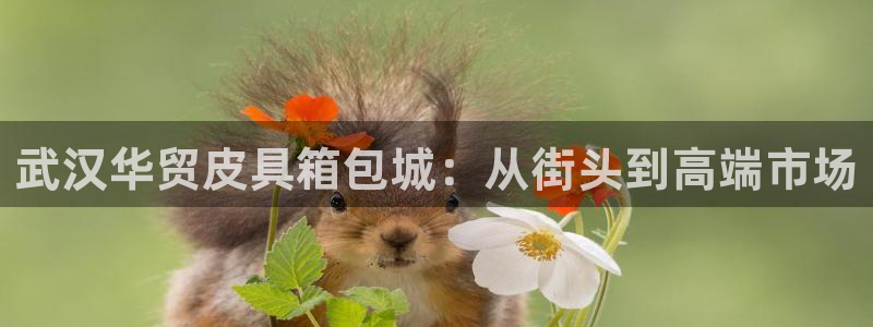 意昂3娱乐是那个系列的台子