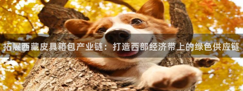 意昂3娱乐40996