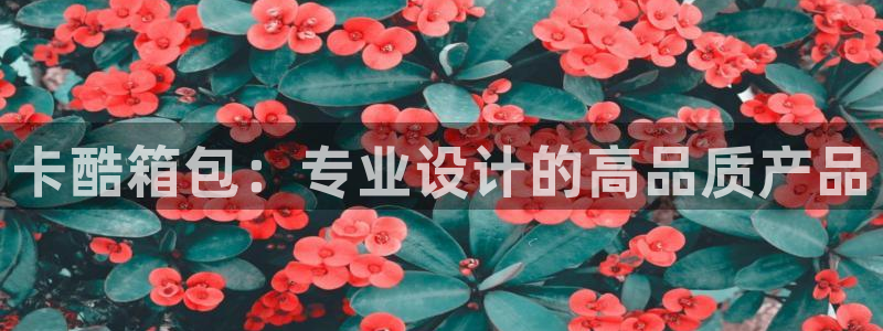 意昂体育3招商电话是多少啊