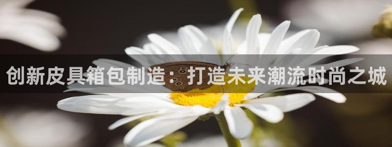意昂体育3招商电话