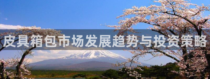 意昂体育3招商电话号码