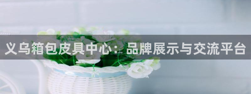 意昂3娱乐首页网站大全