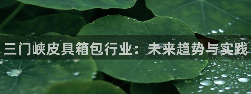 意昂3娱乐下载