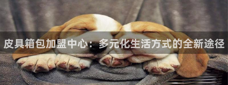 意昂体育3娱乐