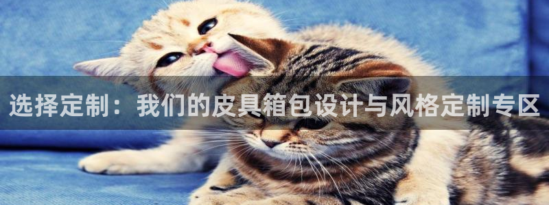 意昂体育3平台APP