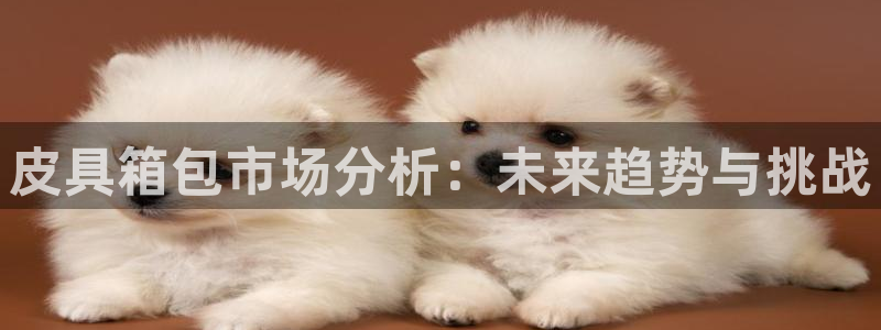 意昂体育3招商电话地址