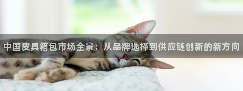 意昂3娱乐首页官网下载