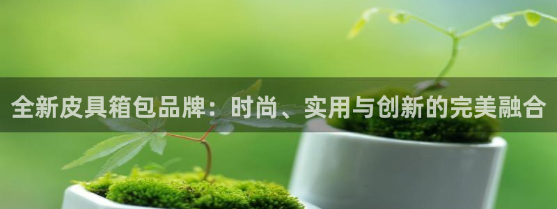 意昂3代理