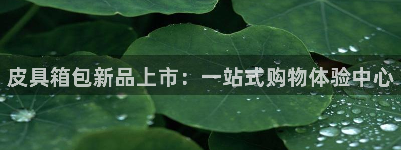 意昂体育3平台