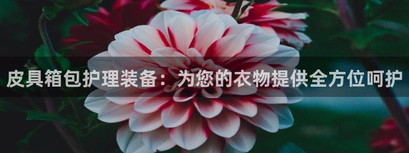 意昂体育3平台注册要钱吗