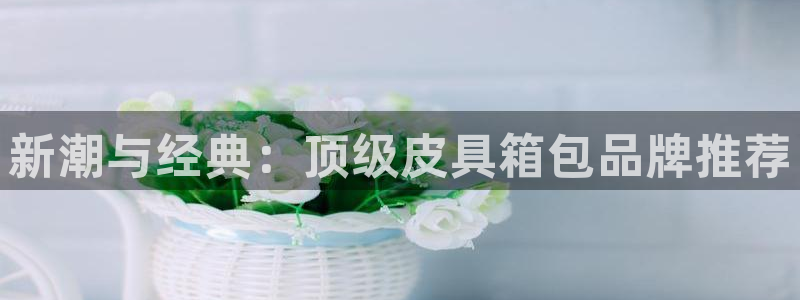 意昂3新能源