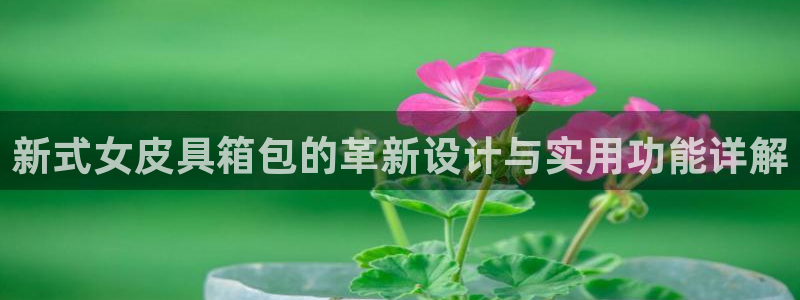 意昂3集团