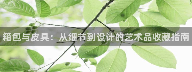 意昂3集团E.ON