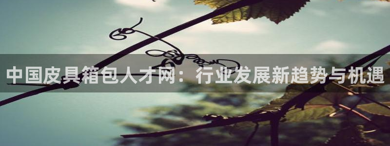 意昂体育3招商电话号码是多少