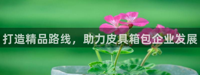 意昂体育3招商电话是多少