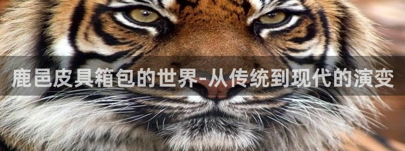 意昂体育3招商电话地址是多少