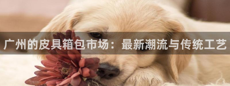 意昂3科技