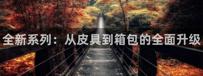 意昂体育3开户