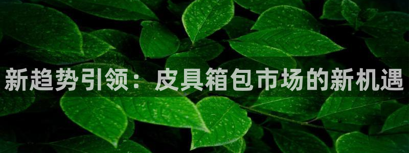 意昂3开户