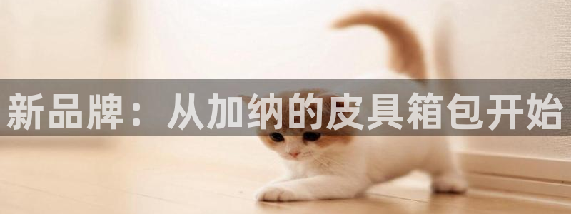 意昂体育3联系电话