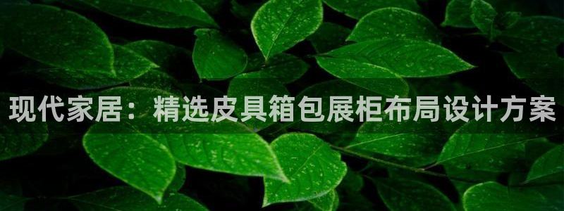意昂3集团简介
