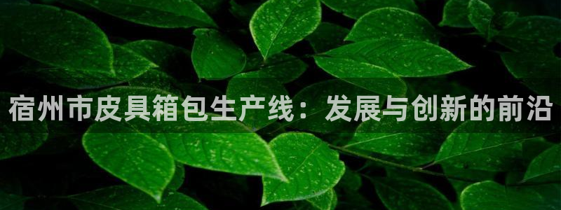 意昂体育3招商电话号码查询