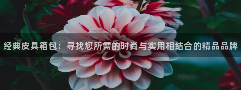 意昂3娱乐代理怎么样