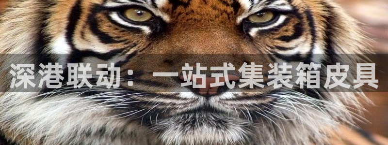 意昂体育3平台是正规平台吗安全吗