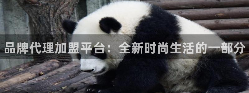 意昂体育3招商电话地址