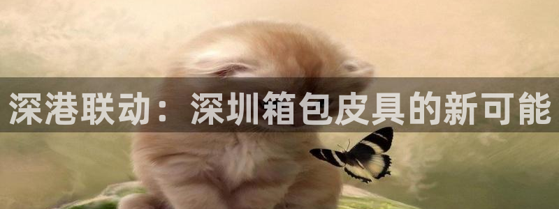 意昂体育3招商电话是多少啊