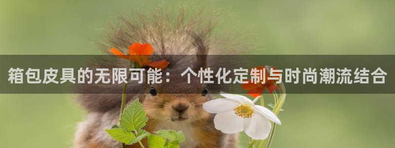 意昂体育3招商电话地址是多少