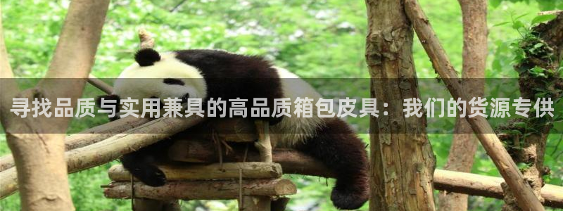 意昂体育3平台是正规平台吗