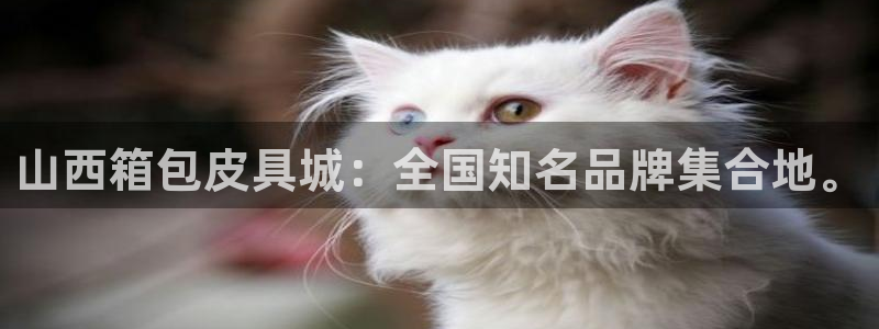 意昂体育3平台注册流程图