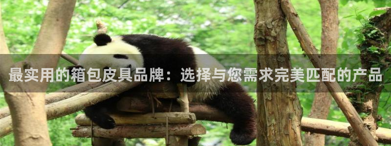 意昂体育3是干嘛的公司