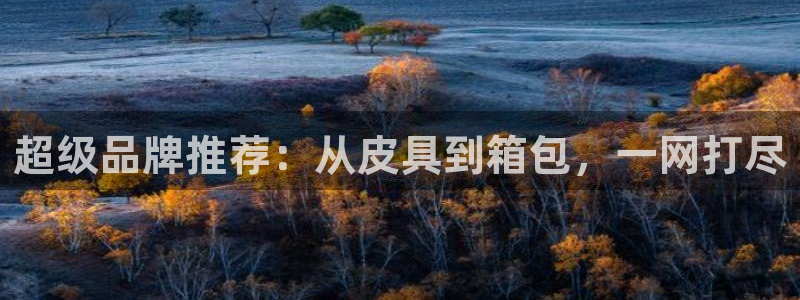 意昂体育3招商电话号码是多少