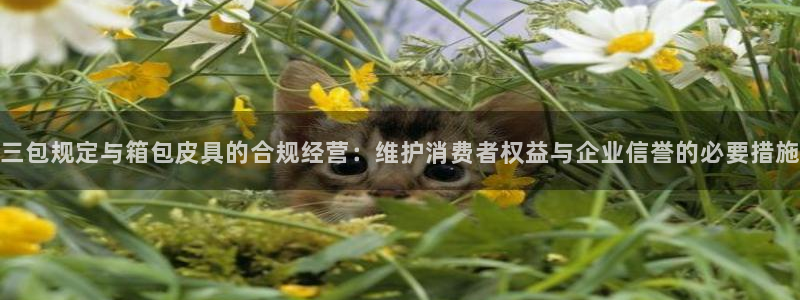 意昂体育3平台假的吗是真的吗