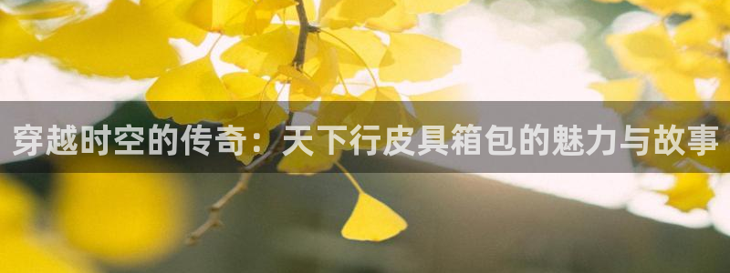 意昂体育3平台注册