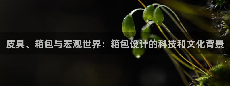 意昂体育3招商电话号码查询是多少